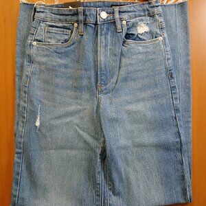 NWT Blank NYC Franklin Ribcage Wide Leg Jeans - 25W